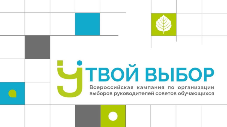 Выборы председателя совета старшеклассников.